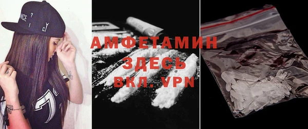 амф Володарск