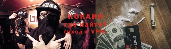 гидра Вяземский