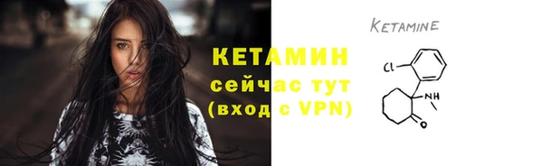гидра Вяземский