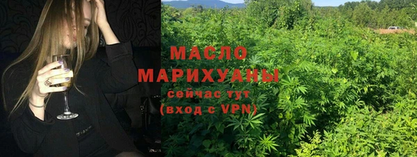 стафф Верхний Тагил