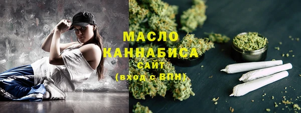 гидра Вяземский