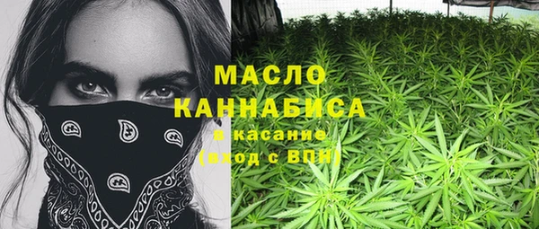стафф Верхний Тагил